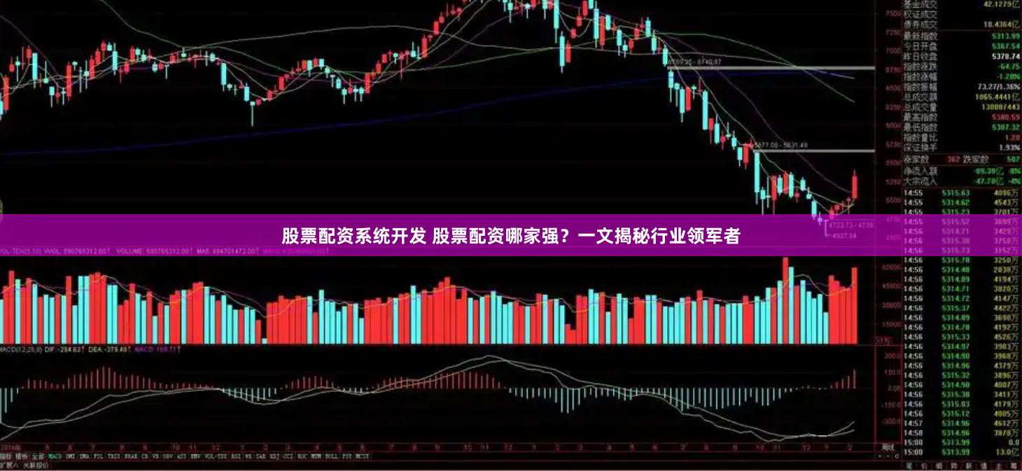 股票配资系统开发 股票配资哪家强？一文揭秘行业领军者