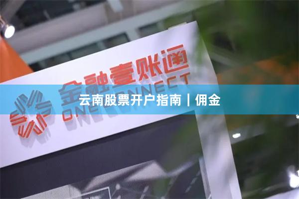 云南股票开户指南｜佣金